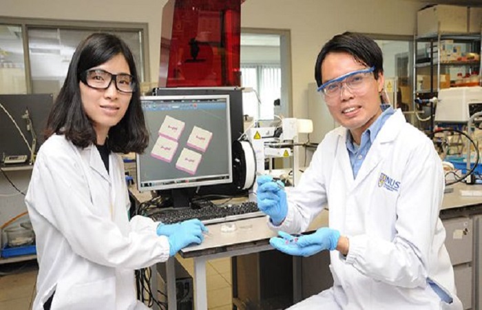NUS researchers Soh Siow Ling and Sun Yajuan created pills that release drugs at various specific profiles