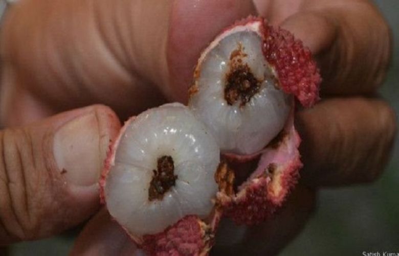 Lychee cause of mysterious disease that plagued Indian town