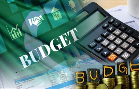Punjab announces Rs1719.3b budget for four months 