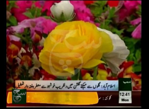 Flowers Event In Islamabad -Suchtv