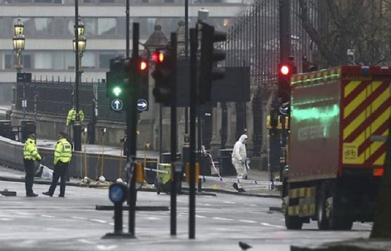 Seven arrests over British parliament terror attack