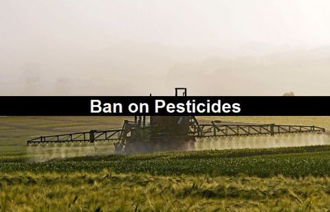 Humans Health risk for using pesticides 