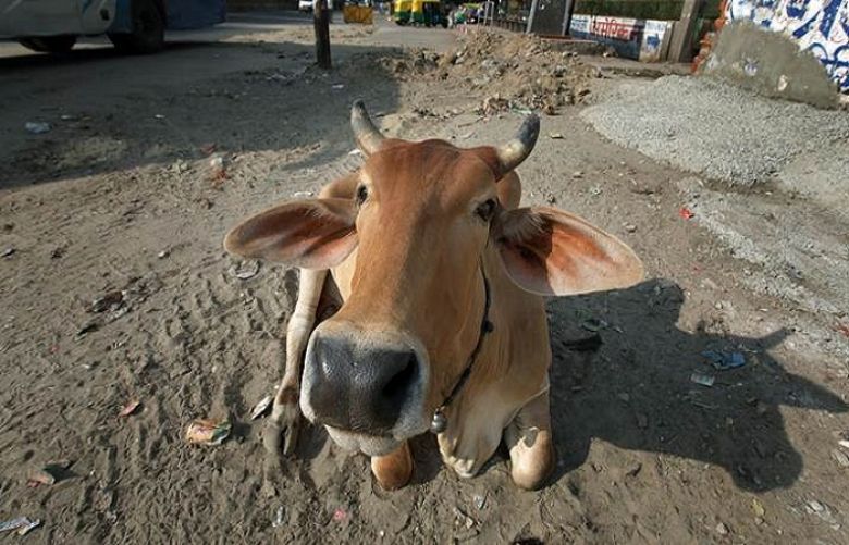 Rajasthan Education Minister Vasudev Devnani, cow exhales oxygen