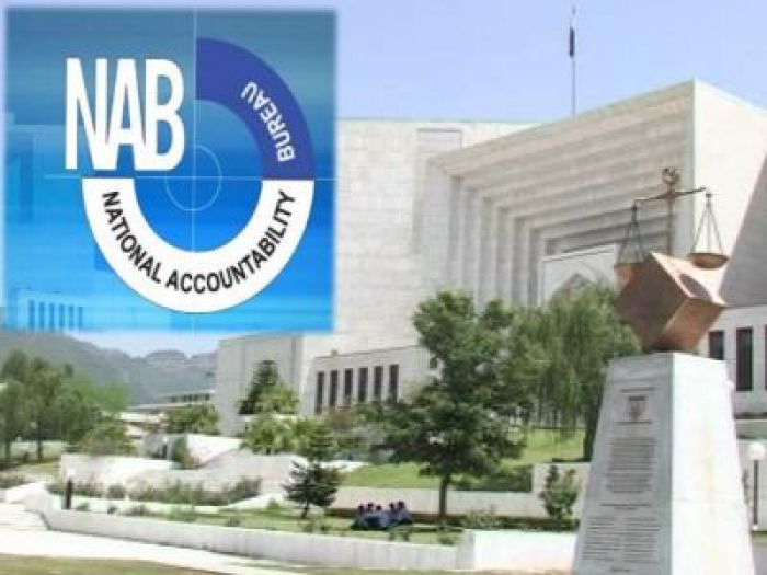 SC allows PPP become party in NAB