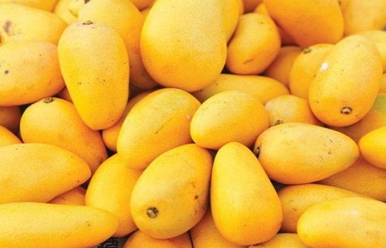 Mango exporters going online to access US, Dubai markets