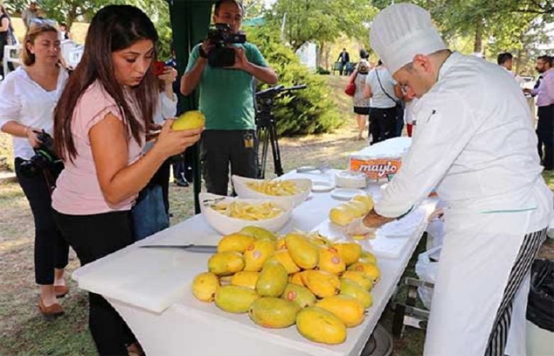 Pakistan Mango &amp; Food Festival held in Ankara