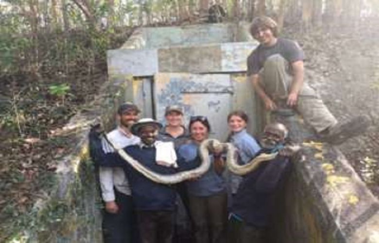 Masi Sadaiyan and Vadivel Gopal have caught 27 pythons in Florida so far
