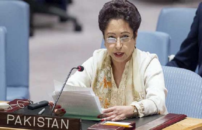 Pakistan&#039;s permanent representative to UN stressed on economic losses of over US$120 billion