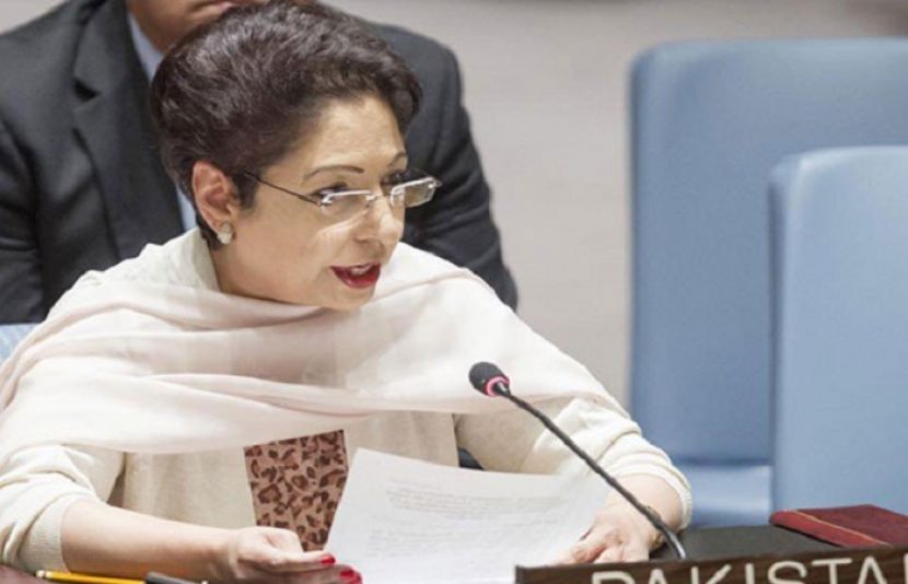 پاکستان بھارتی جارحیت کا بھرپور جواب دے گا، ملیحہ لودھی
