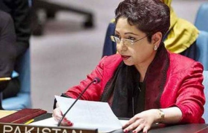 اقوام متحدہ میں پاکستان کی مستقل مندوب ملیحہ لودھی 