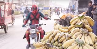 Desi deadpool is snatching bananas from banana cart