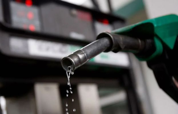 Govt increases petrol price by Rs 30 per litre