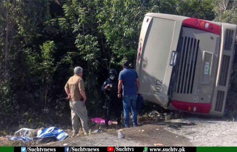 Mexico bus accident: Eleven dead, including three childrens