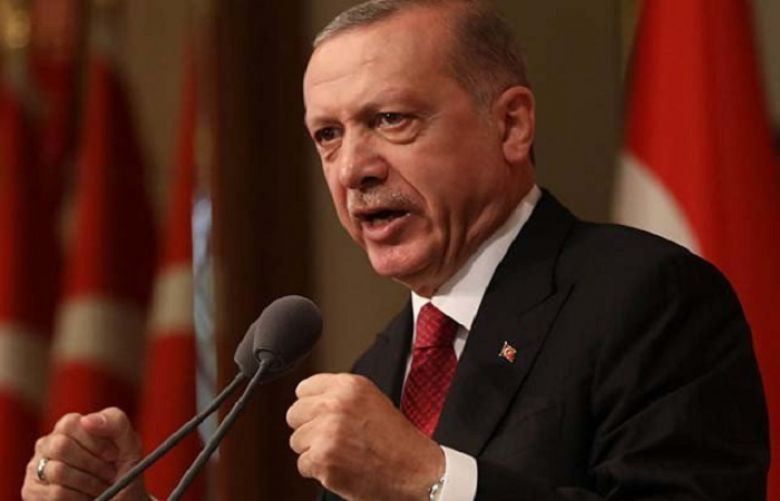 Turkey will pursue non-dollar transactions in trade: Erdogan