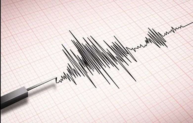 A moderate earthquake struck the Tajikistan-Xinjiang border region early
