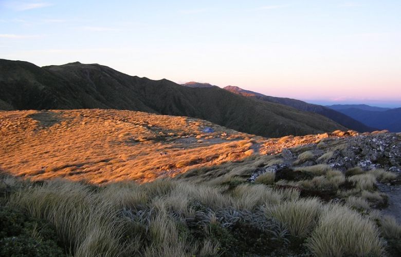Missing 49-year-old British hiker found Dead in Tararua Range Newzealand 