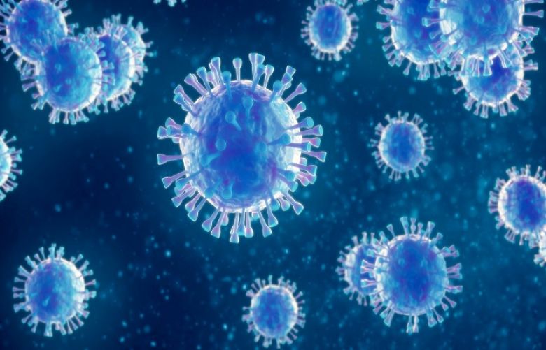 36 coronavirus related deaths in past 24 hours