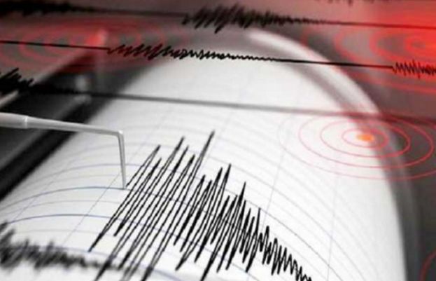 A powerful earthquake rattled parts of Pakistan