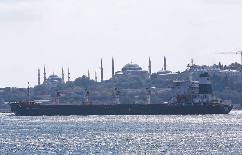 First grain shipment from Ukraine sails through Istanbul