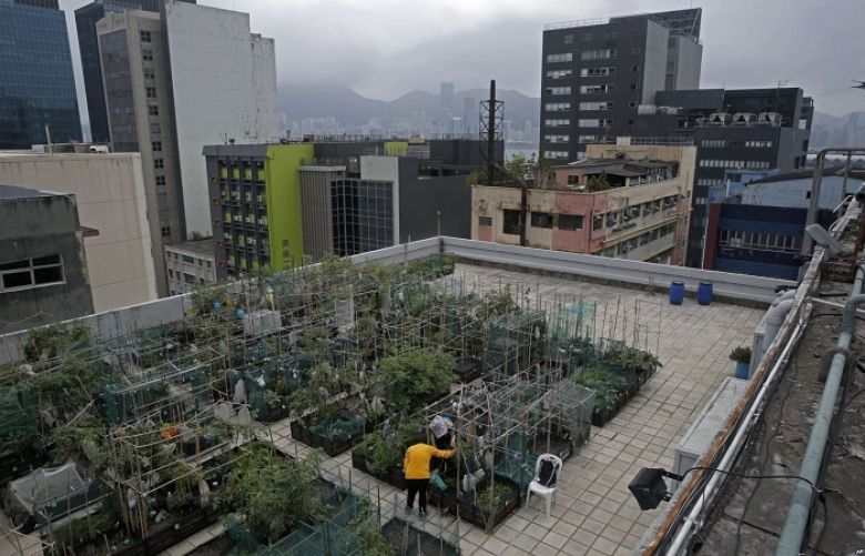 Farmers work at a rooftop vegetable garden of an industrial building in Hong Kong, March 18, 2018.