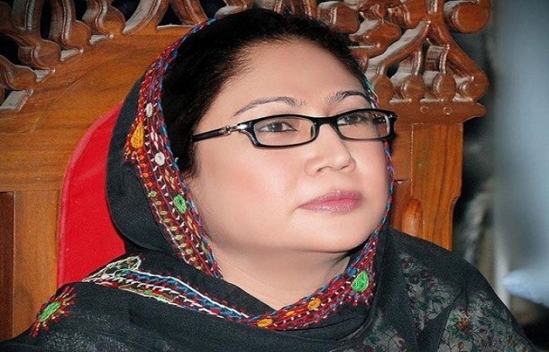 MNA Faryal Talpur’s lawyer objected to submission of a JIT s&#039; findings on fake bank accounts
