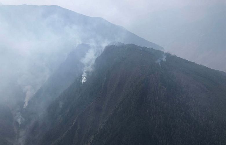 China forest blaze: 30 firefighters killed in Sichuan