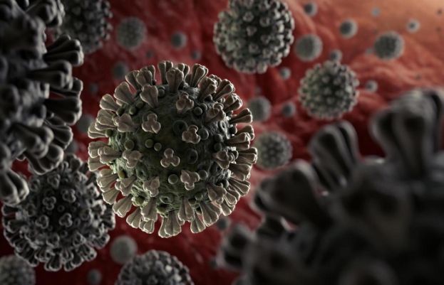 Pakistan records 2,253 coronavirus cases, 29 deaths in a day