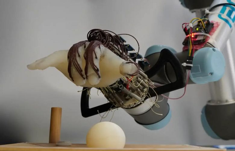 Cambridge University scientists create robotic hand able to hold objects
