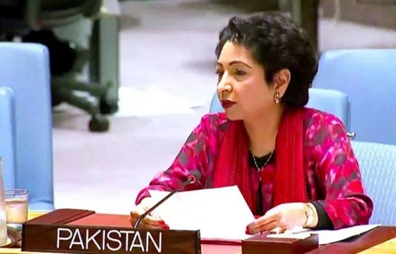 Pakistan calls for focusing on resolution of int’l disputes