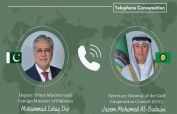 Ishaq Dar, GCC Chief Discuss Regional Situation and Stress De-escalation