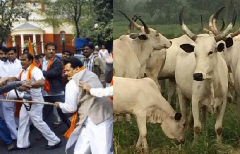 Muslim beaten to death in India for allegedly killing cow