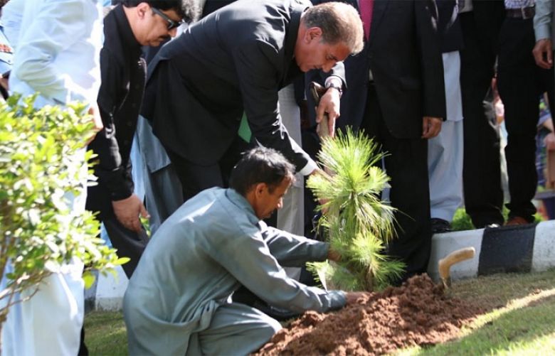 Foreign Minister Shah Mahmood Qureshi planted a sapling at main lawn of Ministry of Foreign Affairs