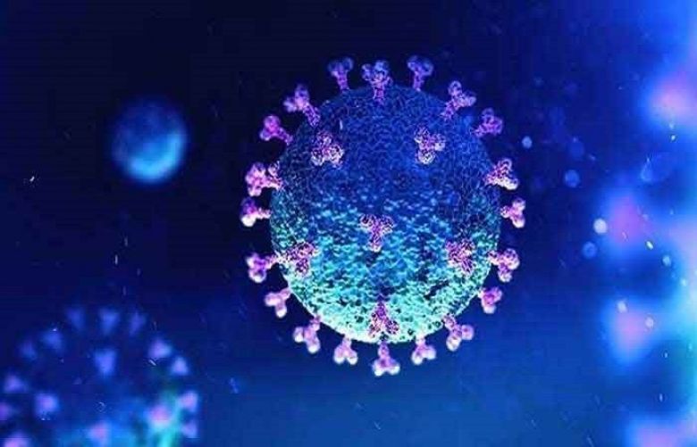 Pakistan records 75 more coronavirus-related deaths in the past 24 hours