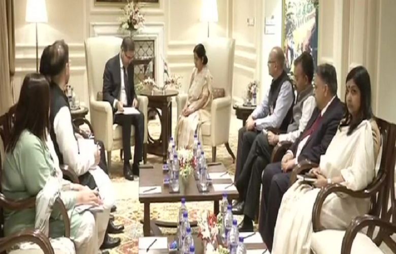 Interim Minister Ali Zafar, Delegation Meets Sushma Swaraj