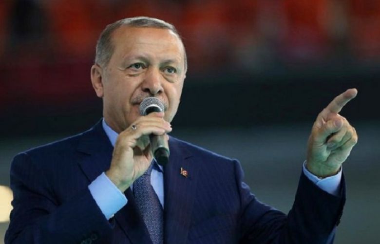 Erdogan says lira crash &#039;political plot&#039; against Turkey