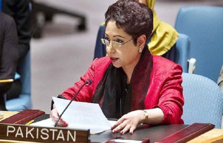 UN Military Observer Group in India, Pakistan must be expanded: Maleeha Lodhi
