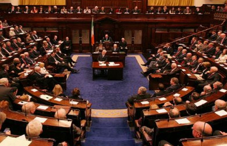Irish senate
