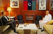 Interior Minister Naqvi meets Bilawal on KP security situation