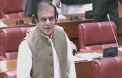 Shibli Faraz appointed Senate opposition leader