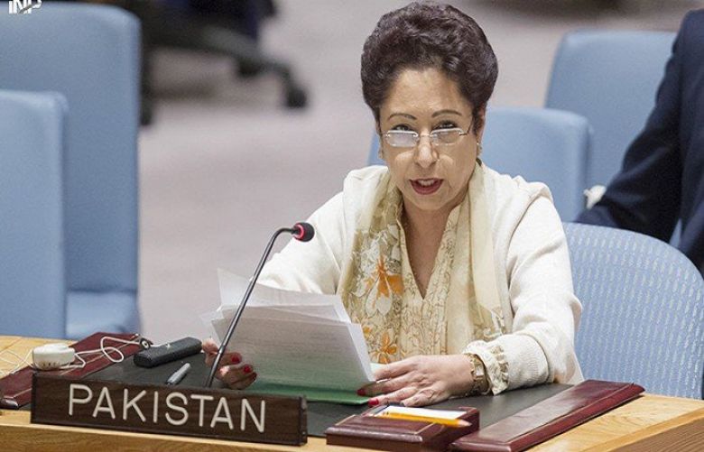 Some signs of negotiated end to Afghan war visible: Dr Lodhi
