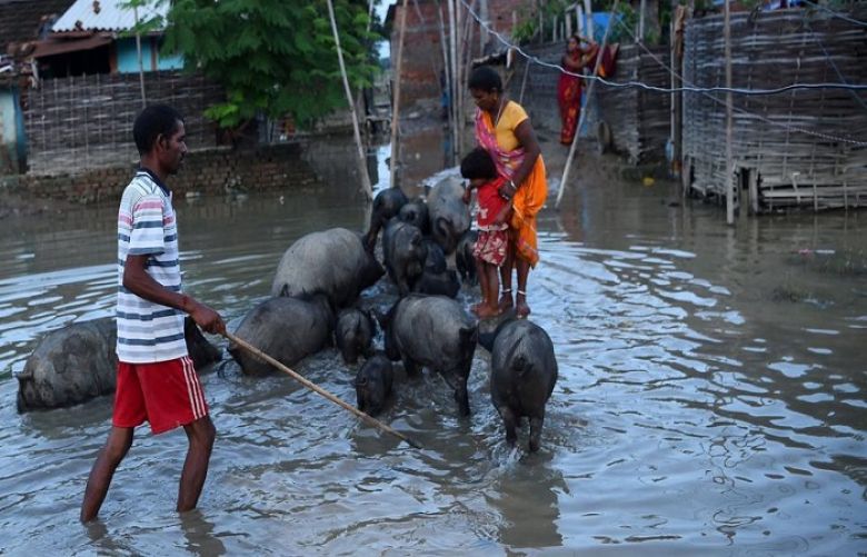 Nepal floods: Death tolls touches 115