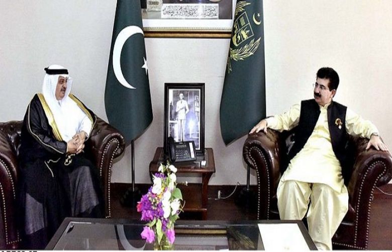 Pak-Saudia have traditional and historical linkages, Chairman Senate