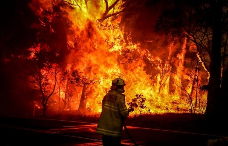Australia bush-fires: death toll rises to Twelve