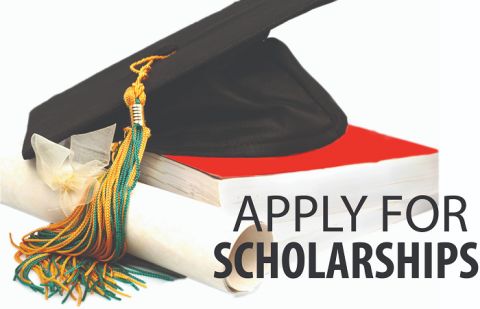 HAN Scholarship in Netherlands | How To Apply
