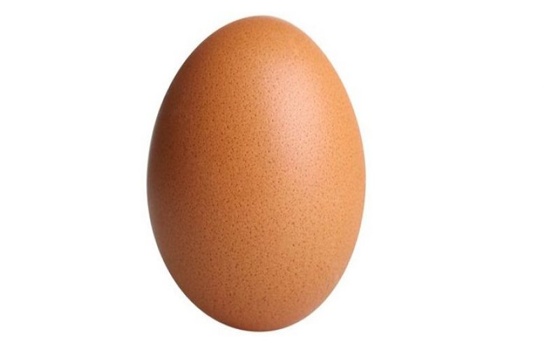 An example of an egg - very similar to the egg posted on Instagram