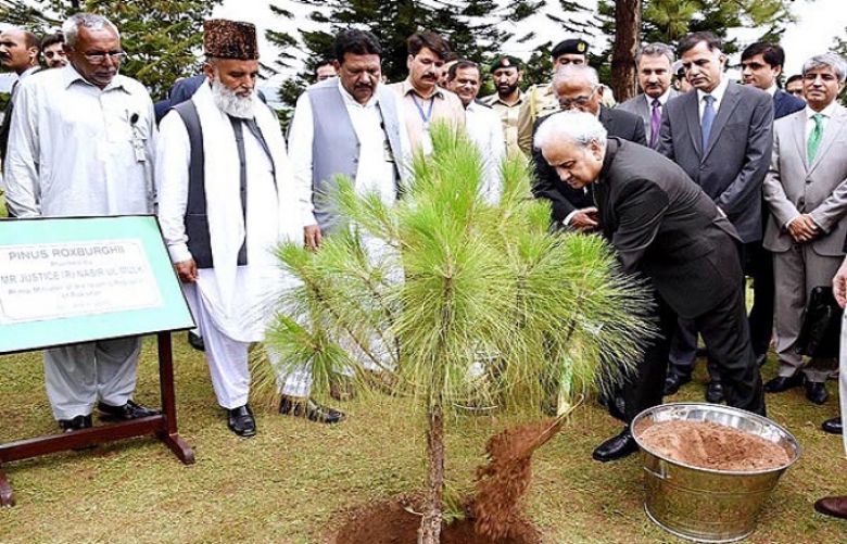 Prime Minister kicks off Monsoons Tree plantation campaign