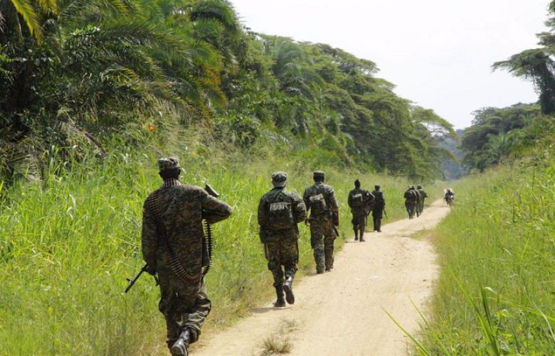 M23 rebels commit to stop hostilities in eastern DRC
