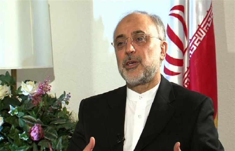 Head of the Atomic Energy Organization of Iran Ali Akbar Salehi