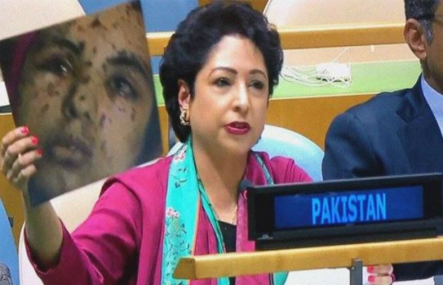 Pakistan has urged the aspirants of permanent seats on the UN Security Council 