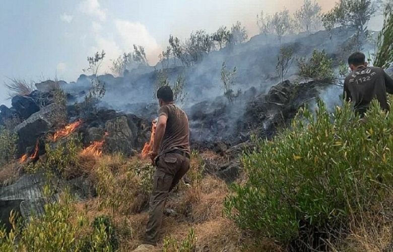 Fresh fires erupt in various forests of Swat